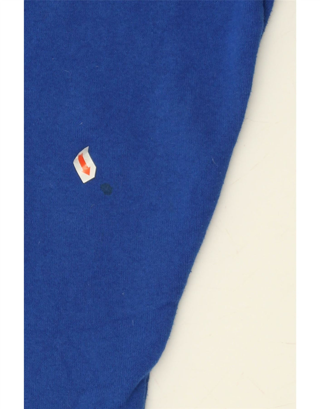 RUSSELL ATHLETIC Mens Graphic Tracksuit Trousers Small  Blue Cotton Vintage Russell Athletic and Second-Hand Russell Athletic from Messina Hembry 