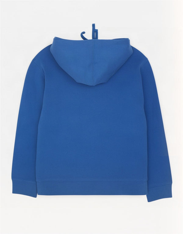 The North Face Herre grafisk hættetrøje Jumper Medium Blue Bomuld