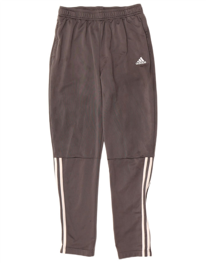 Adidas Drenge træningsbukser 15-16 år Grå polyester