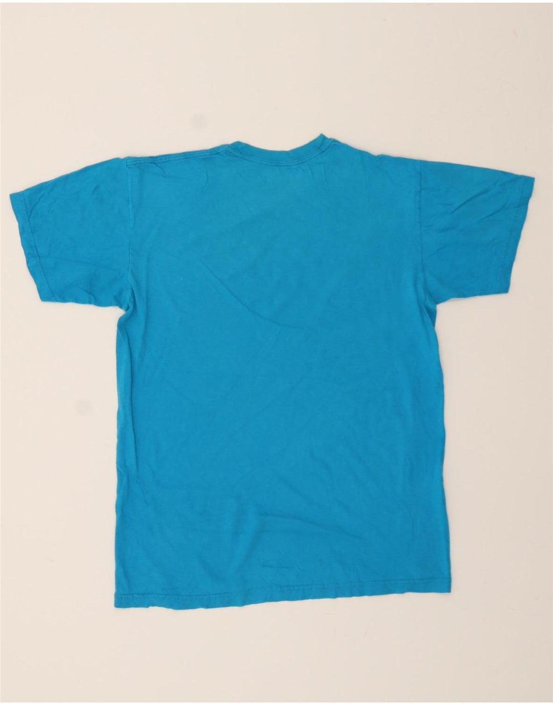 HURLEY Mens Classic Fit Graphic T-Shirt Top Medium Blue Cotton Vintage Hurley and Second-Hand Hurley from Messina Hembry 