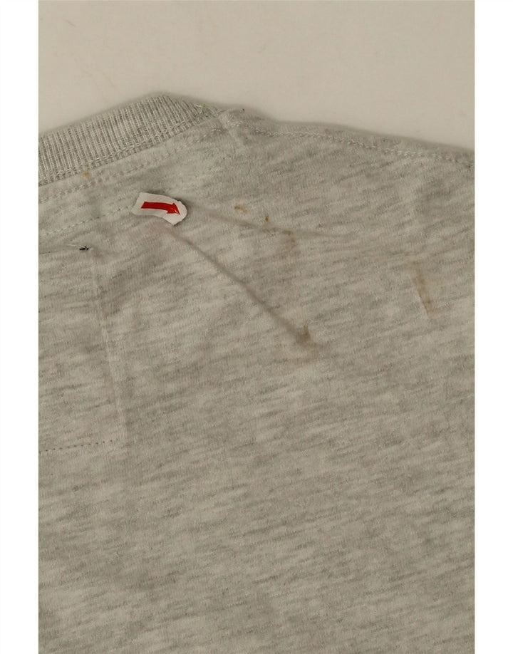 Superdry Herre grafisk T-shirt Top mellemgrå bomuld