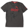PUMA Grafisk T-shirt til mænd, mellemgrå