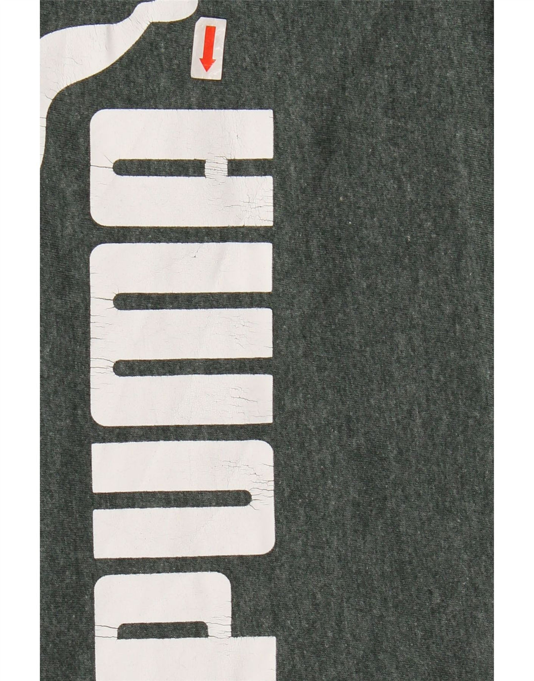 PUMA Grafisk T-shirt top til mænd 3XL Grøn Flecked