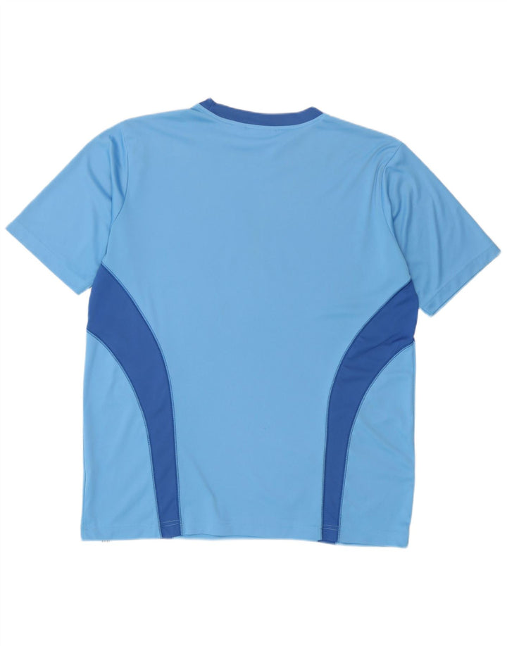 Puma Herre grafisk T-shirt Top Medium Blue Colourblock