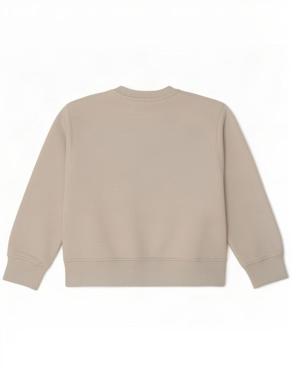 Zara Womens Crop Sweatshirt Jumper UK 10 Small White Bomuld