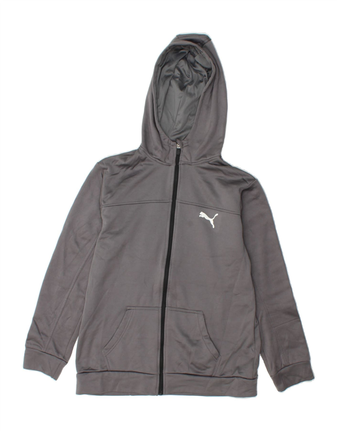 PUMA Boys Graphic Zip Hoodie Sweater 15-16 Years XL Grey Polyester Vintage Puma and Second-Hand Puma from Messina Hembry 