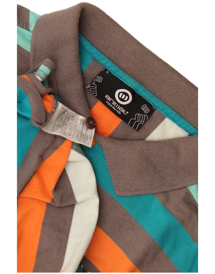 Animal Herre poloshirt Stor flerfarvet stribet polyester