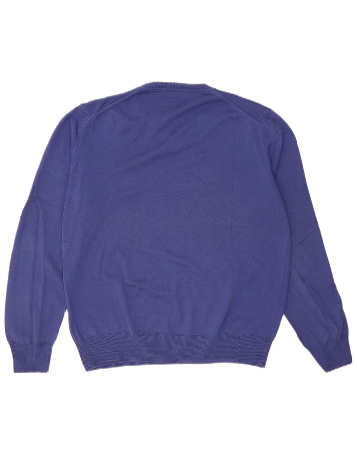 Zara Herre V-hals sweater Stor Blå