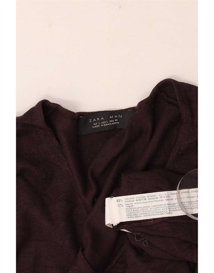 Zara Herre V-hals sweater Stor brun viskose