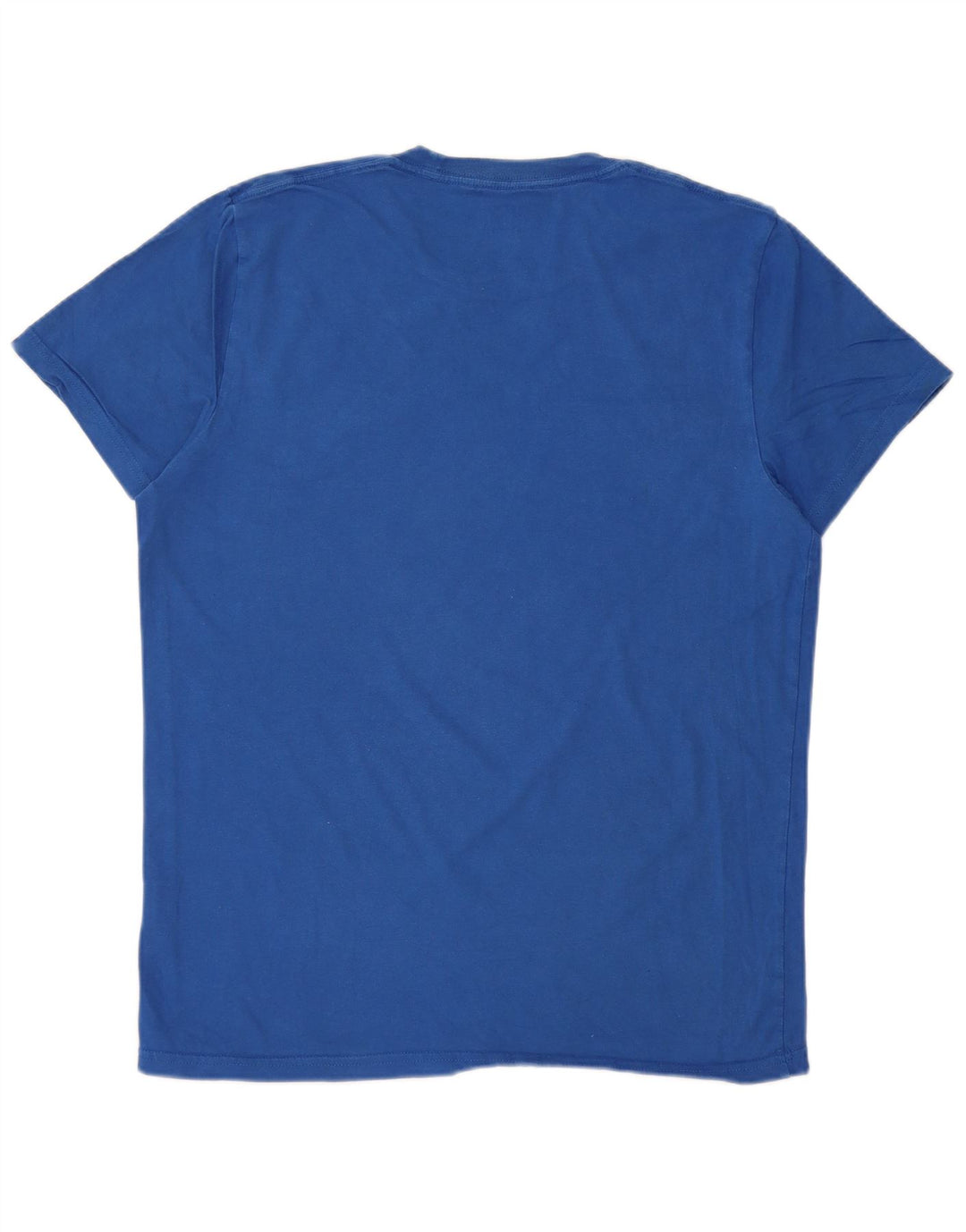HOLLISTER Herre T-Shirt Top Medium Blå Bomuld