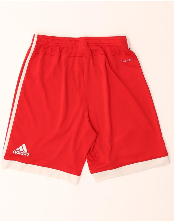Adidas Boys FC Bayern Munchen Sportsshorts 13-14 år Rød Colourblock