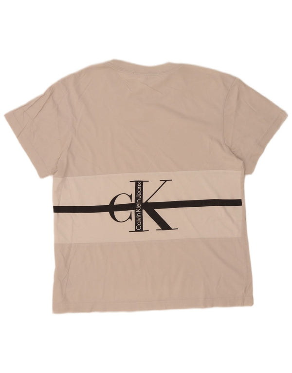 Calvin Klein Jeans Herre grafisk T-shirt Top Lille Beige Colourblock Bomuld