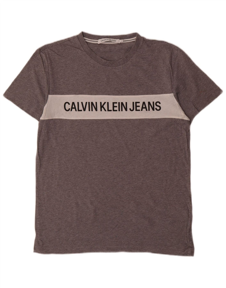 Calvin Klein Jeans Herre grafisk T-shirt Top Medium Grey Colourblock