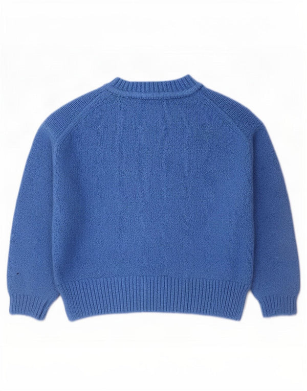 Zara Womens Crop Crew Neck Jumper Sweater UK 14 Medium Blue Acryl