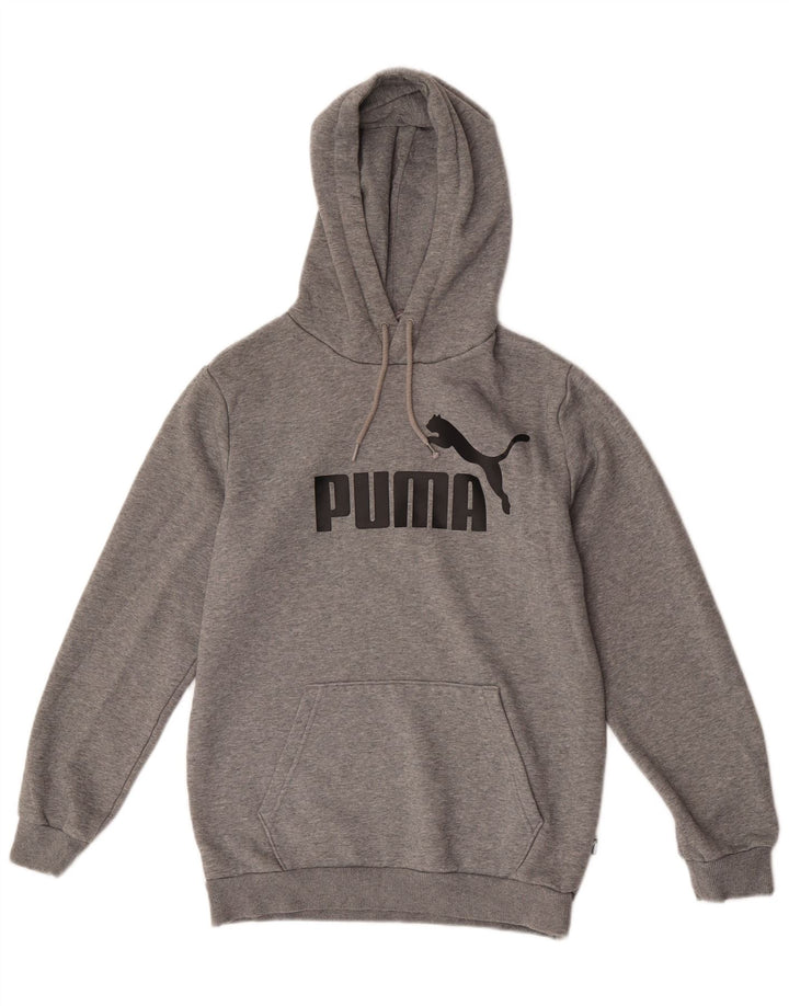 Puma Grafisk hættetrøje til mænd, lille grå bomuld