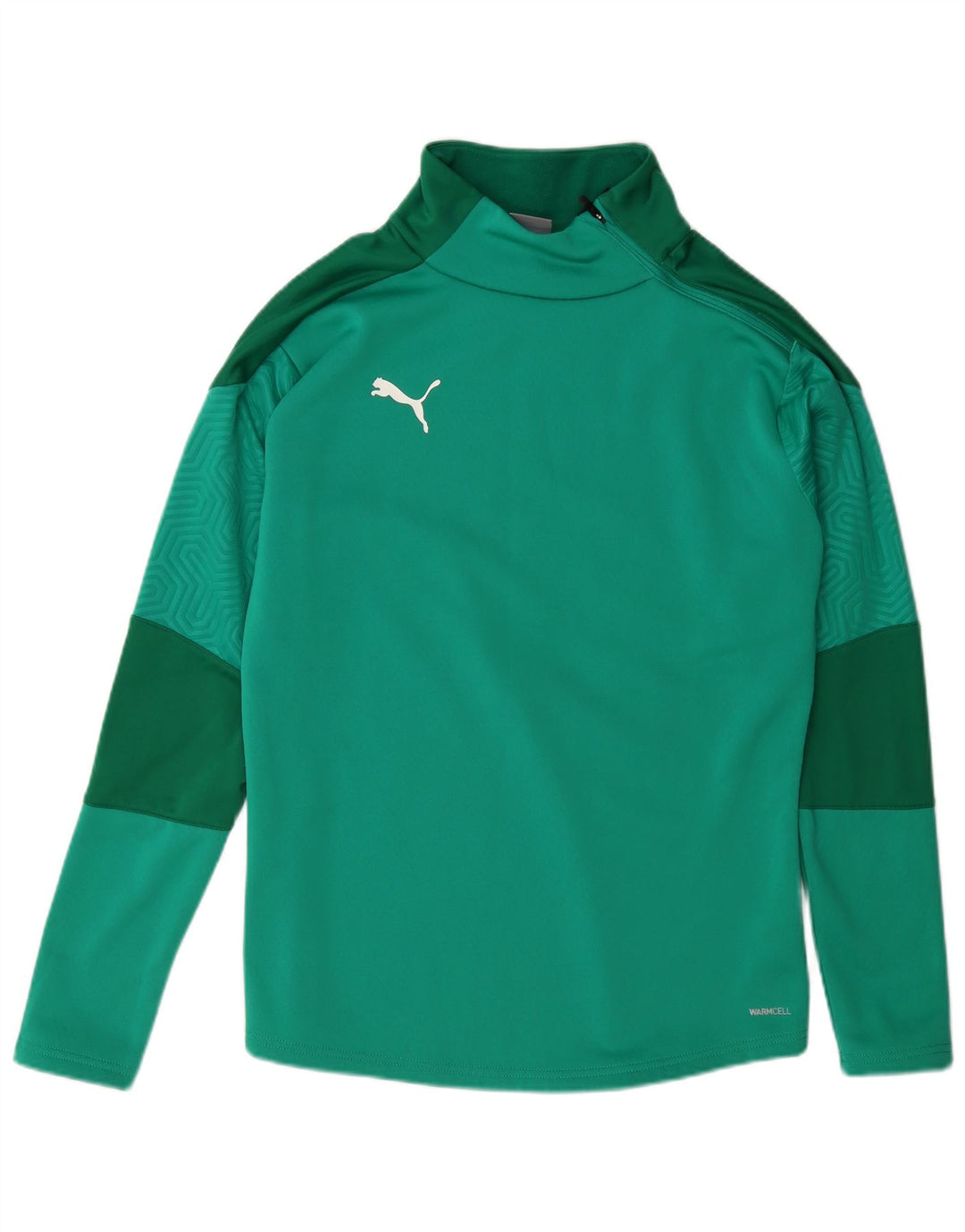 Puma Sweatshirt med lynlås til mænd mellem grøn Colourblock Polyester