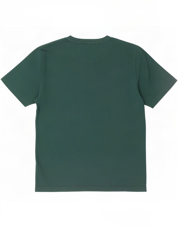Calvin Klein Jeans Herre grafisk T-shirt Top Small Green