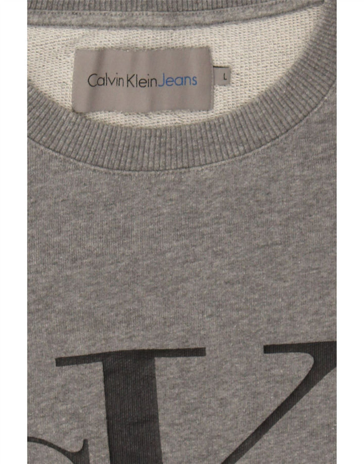 CALVIN KLEIN JEANS Mens Graphic Sweatshirt Jumper Large Grey Cotton Vintage Calvin Klein Jeans and Second-Hand Calvin Klein Jeans from Messina Hembry 