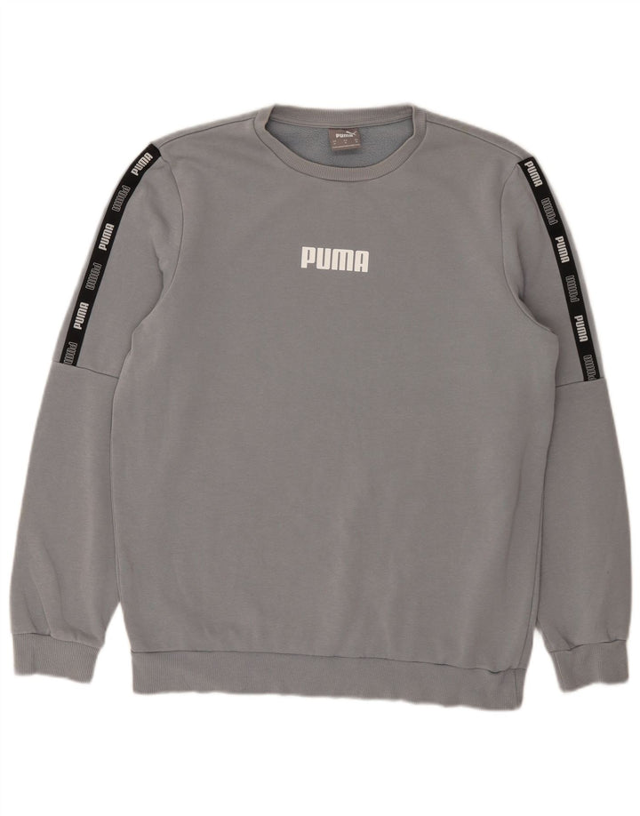 Puma Herre grafisk sweatshirt Jumper Medium Blue Colourblock