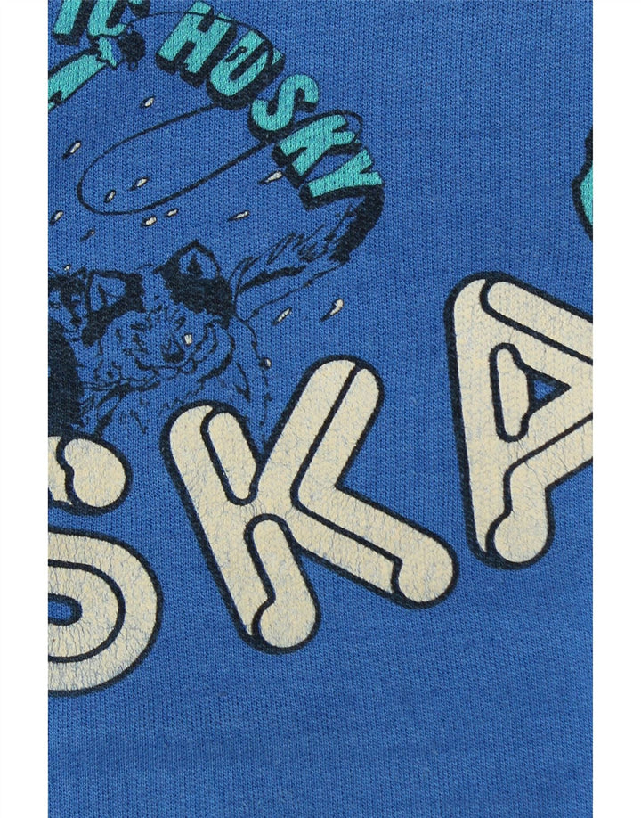 Alaska Herre Grafisk Sweatshirt Jumper Large Blå