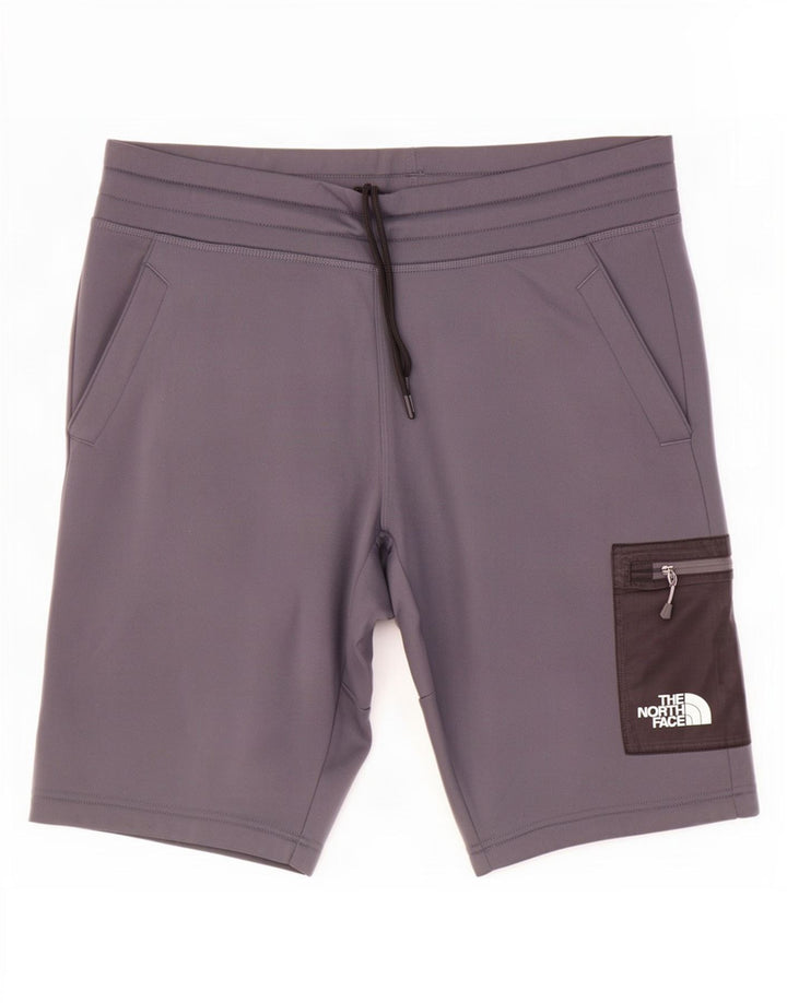 The North Face Herre Cargo Sportshorts Store Grå