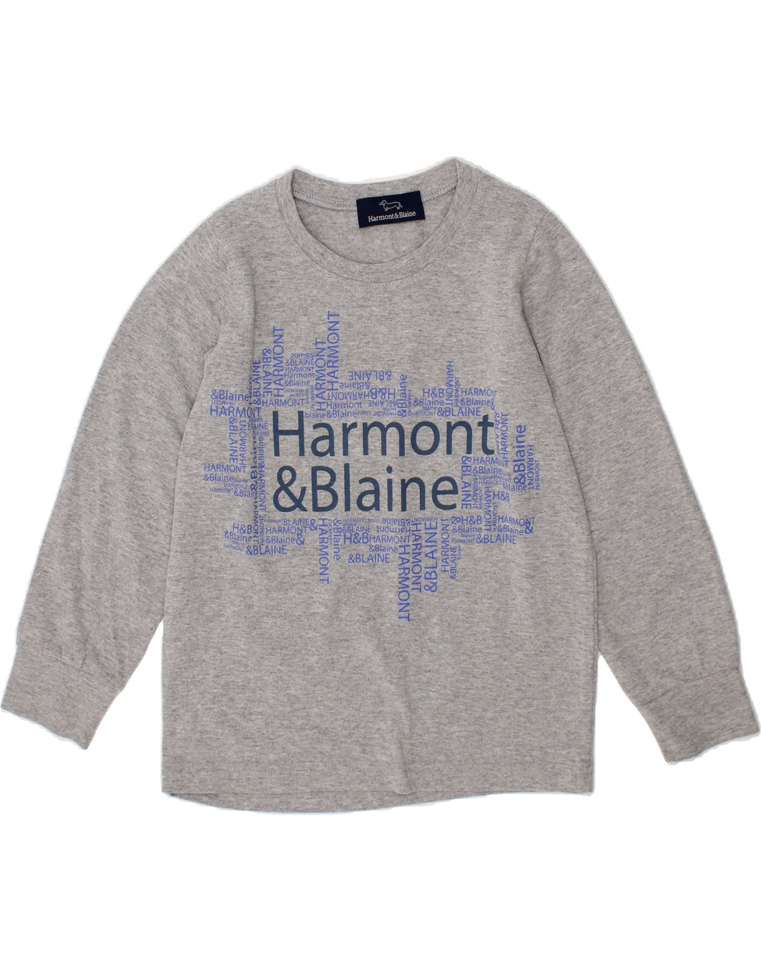 HARMONT & BLAINE Boys Graphic Top Long Sleeve 2-3 Years Grey Vintage Harmont & Blaine and Second-Hand Harmont & Blaine from Messina Hembry 