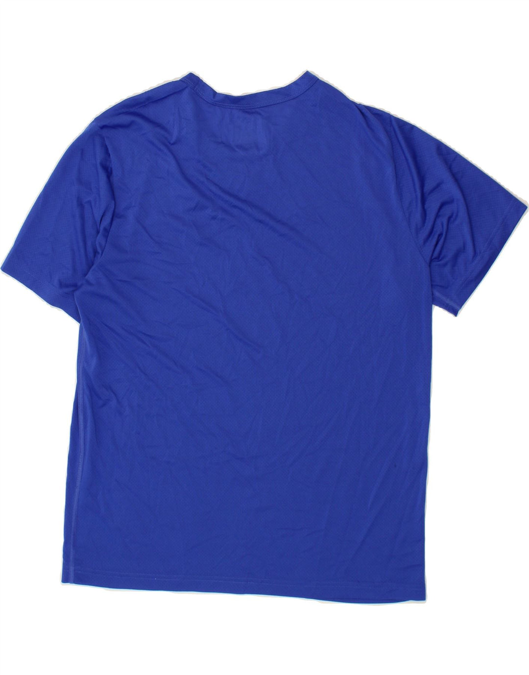 CHAMPION Mens T-Shirt Top XL Blue Polyester Vintage Champion and Second-Hand Champion from Messina Hembry 