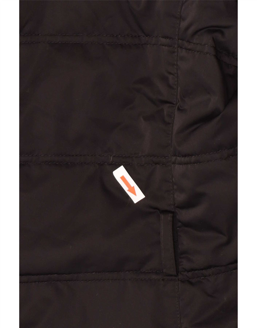 Allegri Dame Polstret Jakke IT 46 Stor Sort Polyester