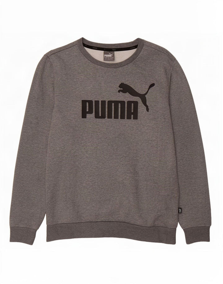 Puma Herre Grafisk Sweatshirt Jumper Lille Grå
