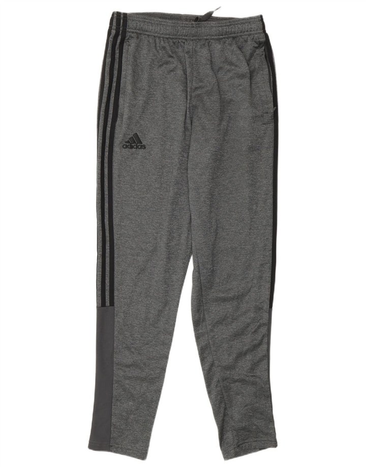 Adidas Træningsdragtsbukser til mænd Små grå polyester