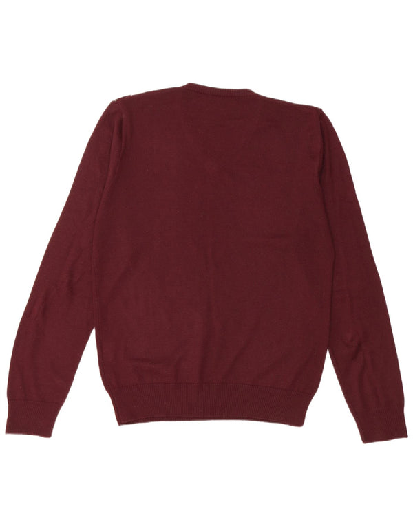 Sonny Bono Herre V-hals sweater Medium Burgundy Argyle/Diamond Wool