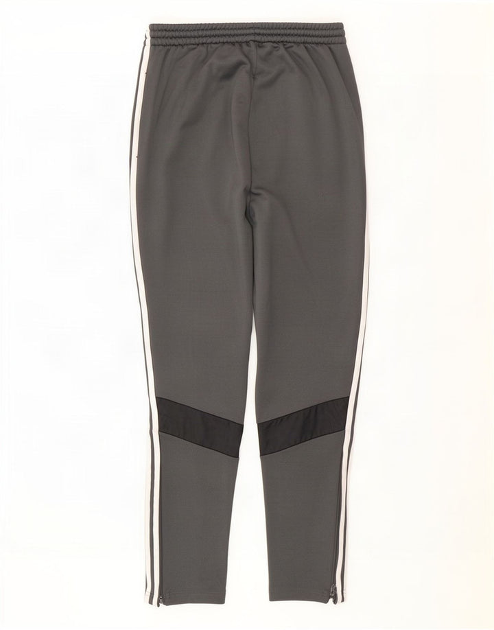 Adidas Træningsdragtsbukser til mænd mellemgrå polyester