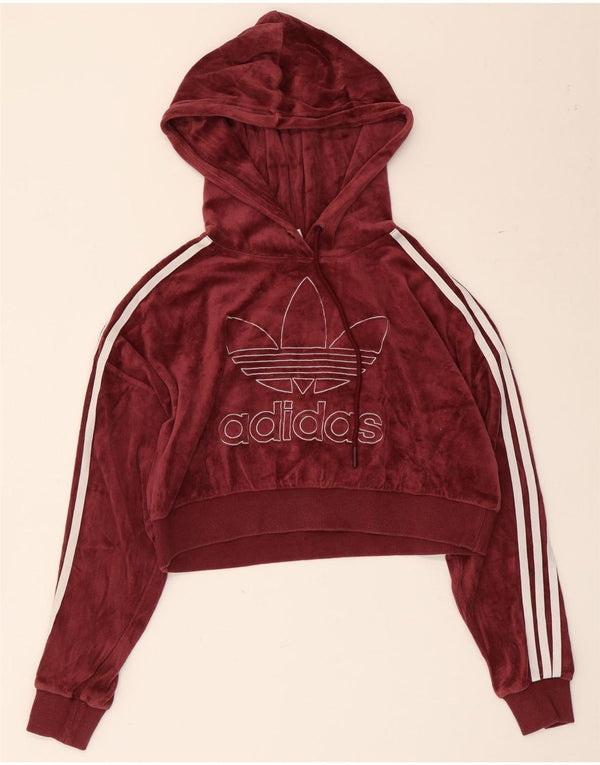 Adidas Dame Oversized Grafisk Crop Hoodie Jumper UK 4 XS Bourgogne bomuld