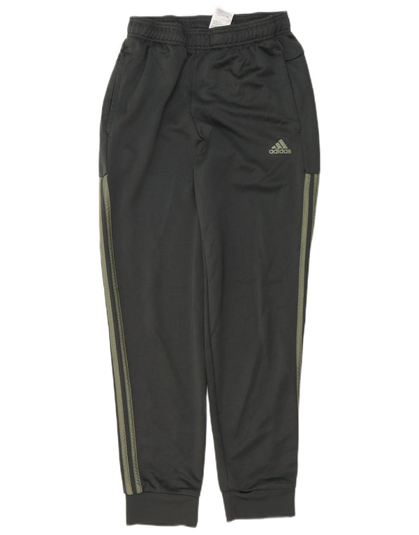 Adidas Træningsdragt til mænd Joggers Små Khaki Polyester