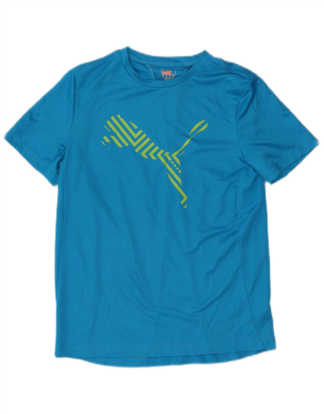 Puma Boys Grafisk T-Shirt Top 15-16 År Blå Polyester