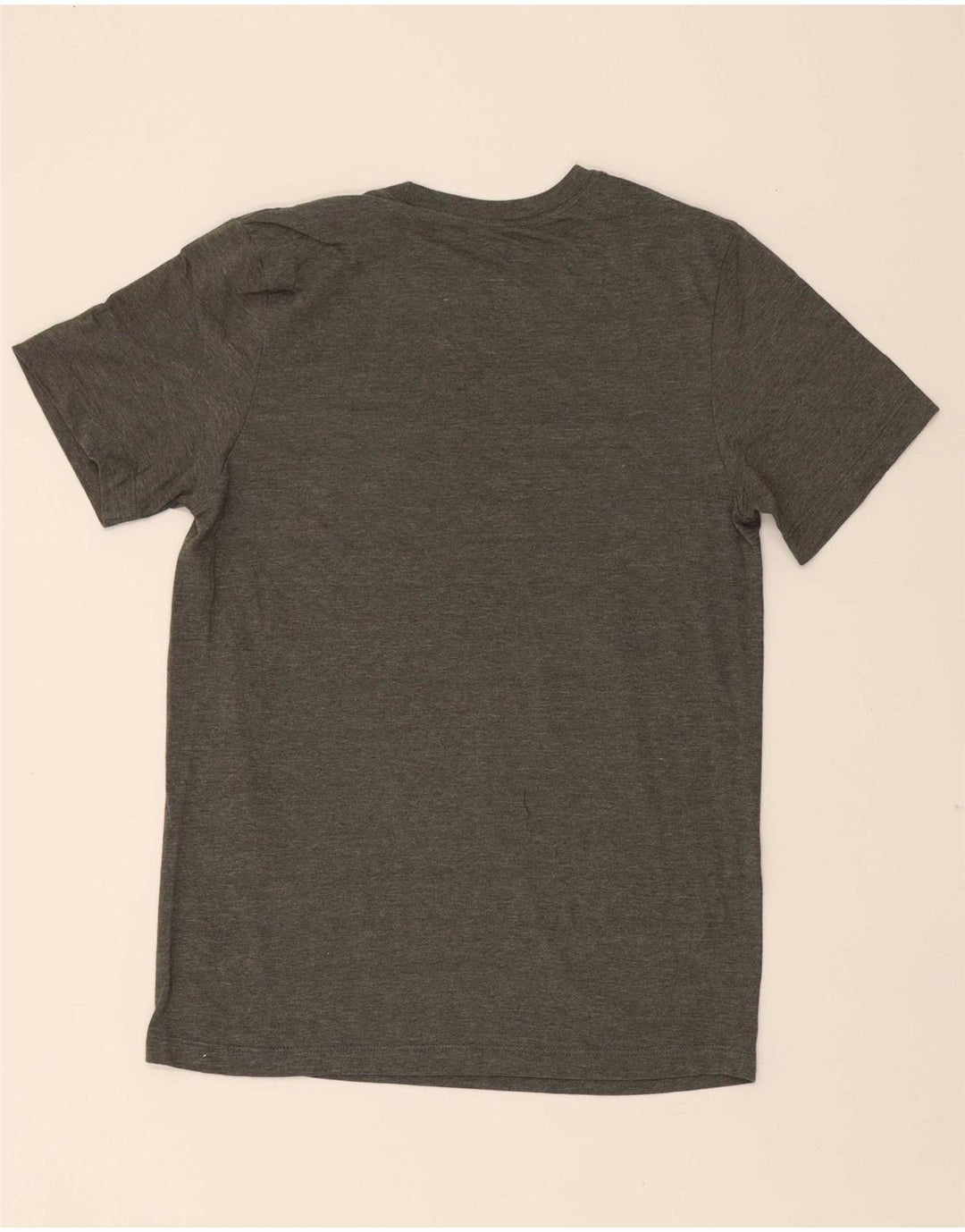NIKE Mens Graphic T-Shirt Top Small Grey