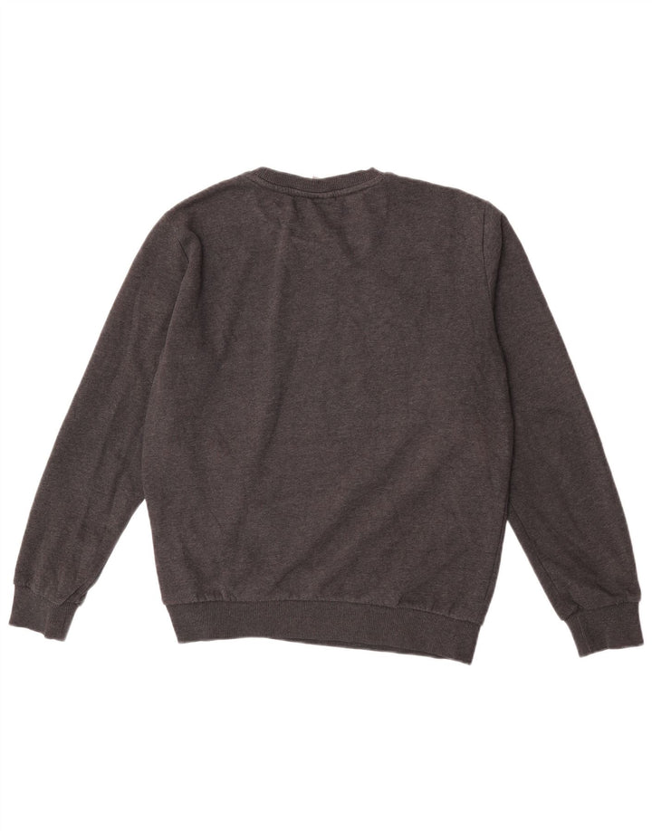 Puma Sweatshirt til mænd, lille grå bomuld