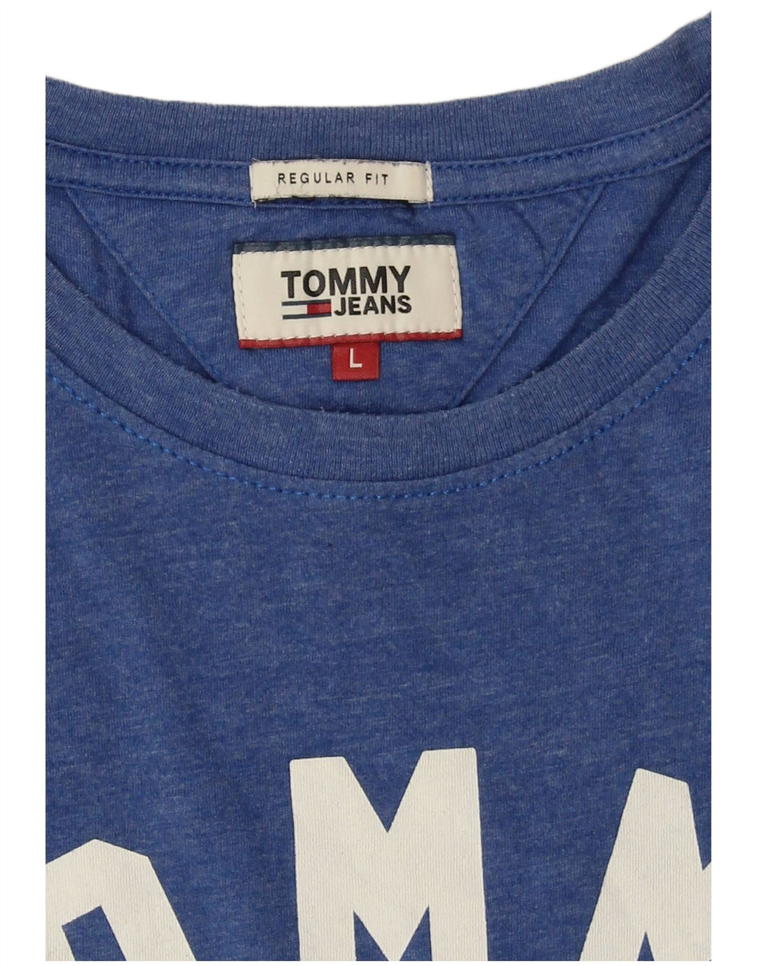 Tommy Hilfiger Herre Regular Fit Grafisk T-Shirt Top Stor Blå Polyester