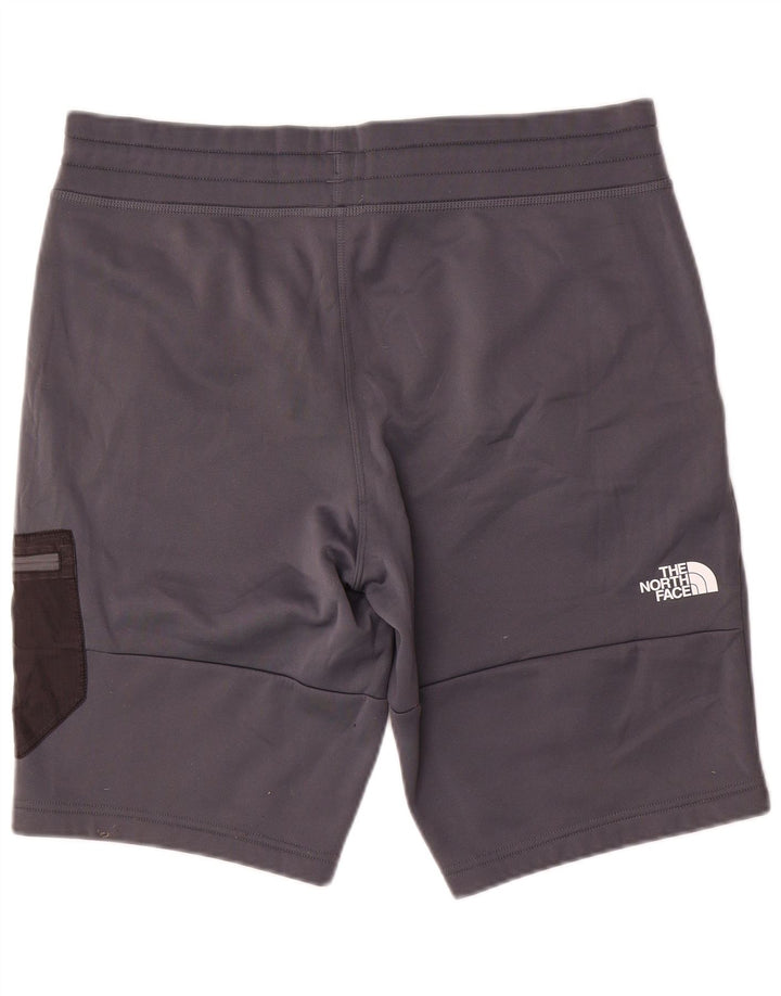 The North Face Herre Cargo Sportshorts Store Grå