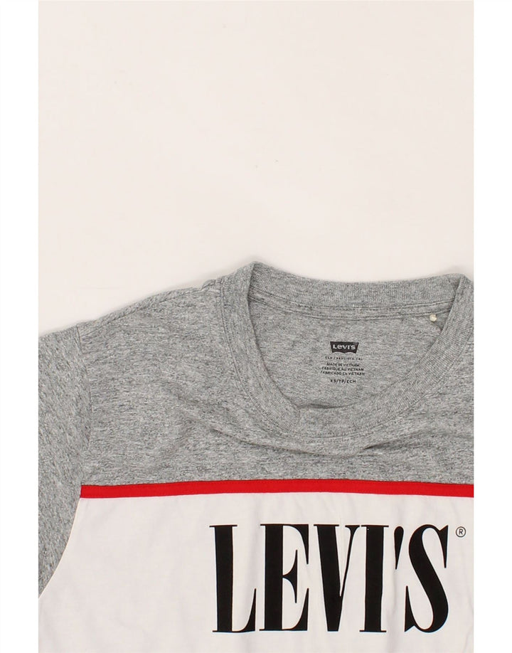 LEVI'S Mens Graphic T-Shirt Top XS Grey Colourblock Cotton Vintage Levi's and Second-Hand Levi's from Messina Hembry 