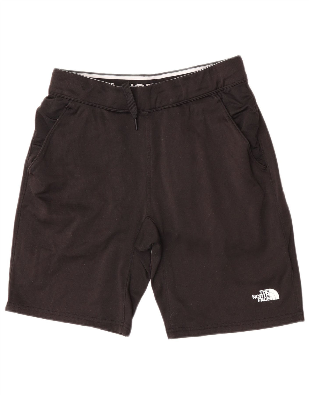 The North Face Herre grafiske sportsshorts Lille sort