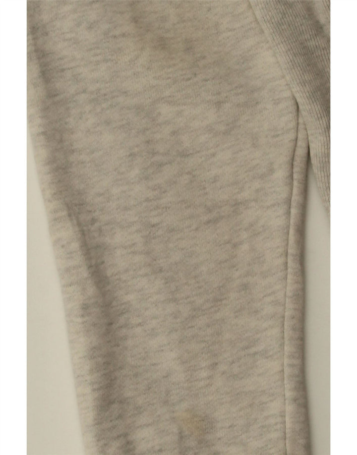 CHAMPION Womens Sweatshirt Jumper UK 10 Small Grey Cotton Vintage Champion and Second-Hand Champion from Messina Hembry 