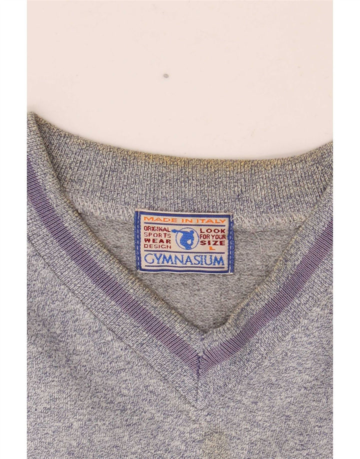 Gymnasium Herre Grafisk Sweatshirt Jumper Large Blue Colourblock