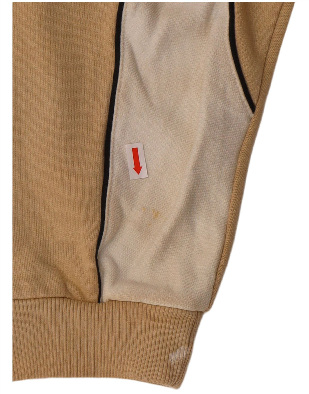 IGUANA Grafisk sweatshirt til mænd XL Beige bomuld