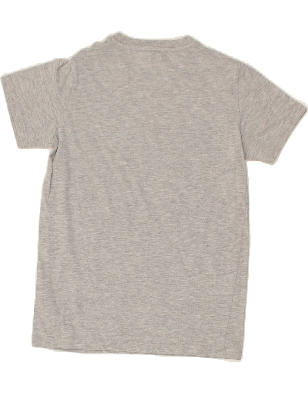 CHAMPION Boys Graphic T-Shirt Top 9-10 Years Large Grey Cotton Vintage Champion and Second-Hand Champion from Messina Hembry 
