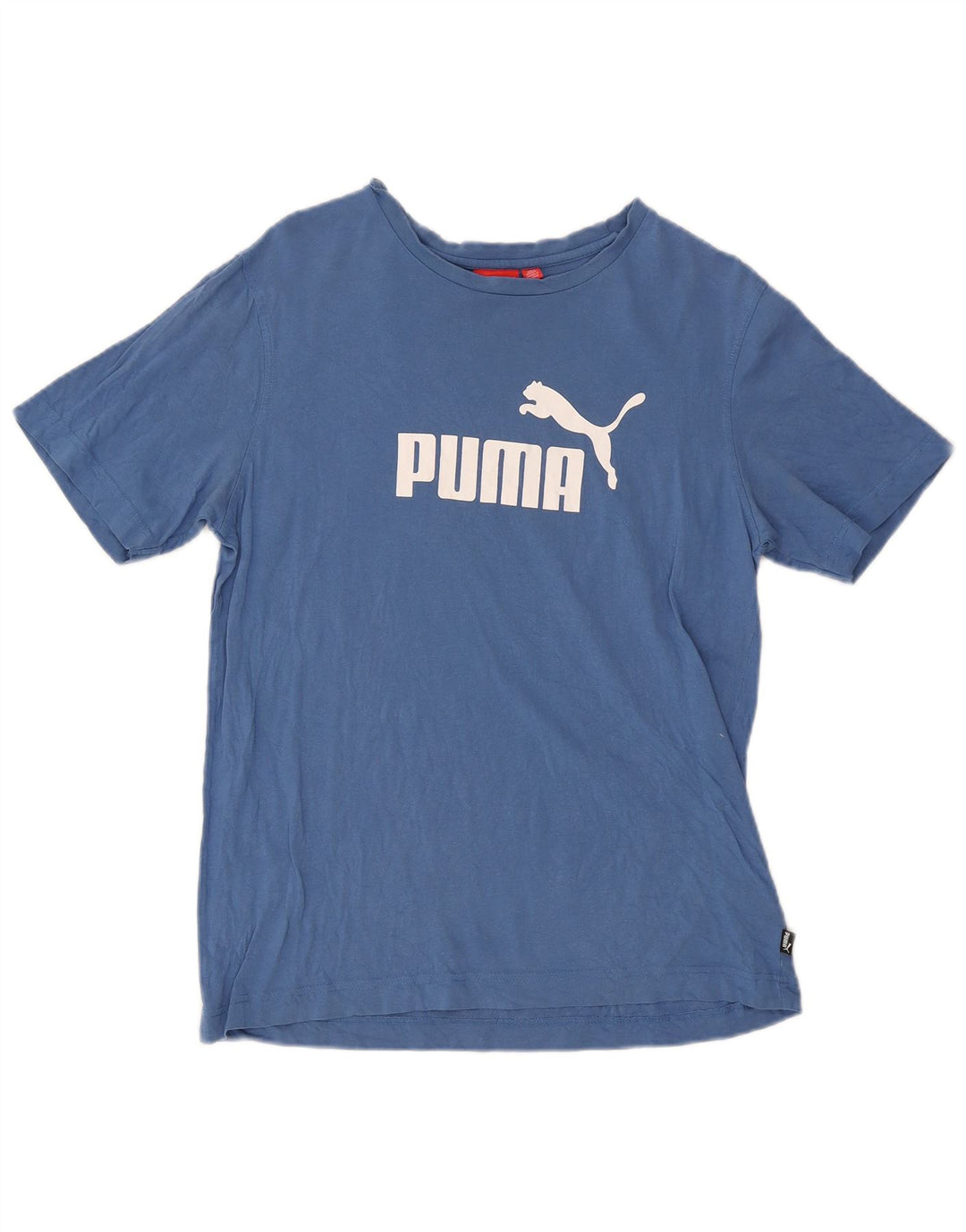 Puma Herre Grafisk T-Shirt Top Medium Blue