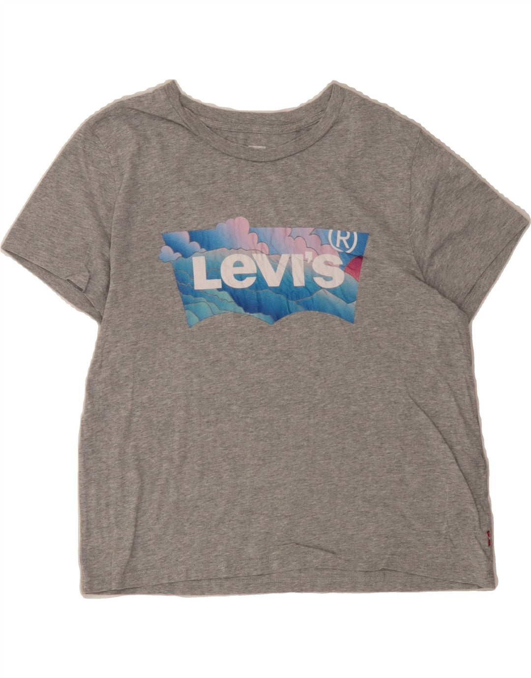 Womens Graphic T-Shirt Top UK 12 Medium Vintage Levi's and Second-Hand Levi's from Messina Hembry 