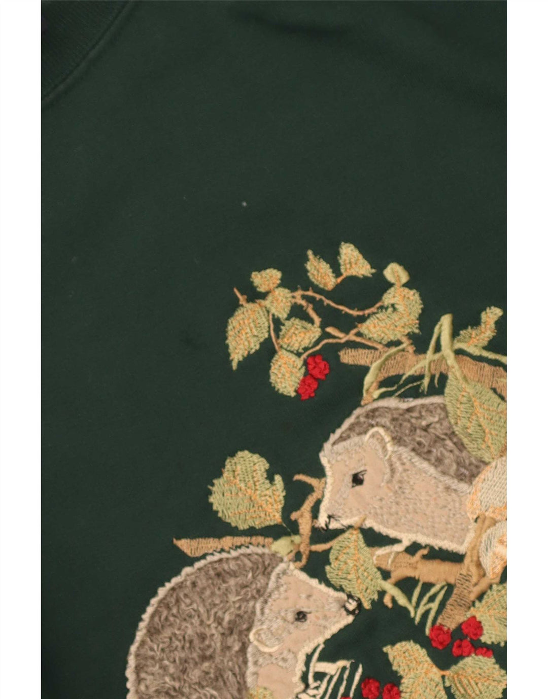 Esther Rose Dame Grafisk Sweatshirt Jumper UK 12 Medium Grøn Akryl