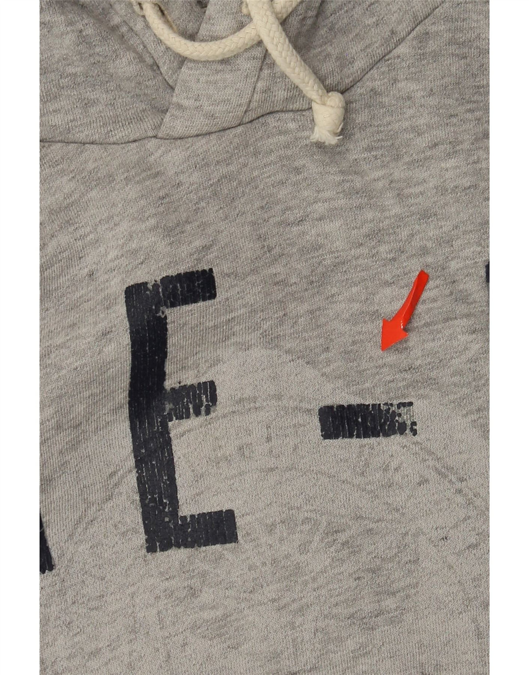 American Eagle Herre grafisk hættetrøje Jumper Medium Grey Bomuld
