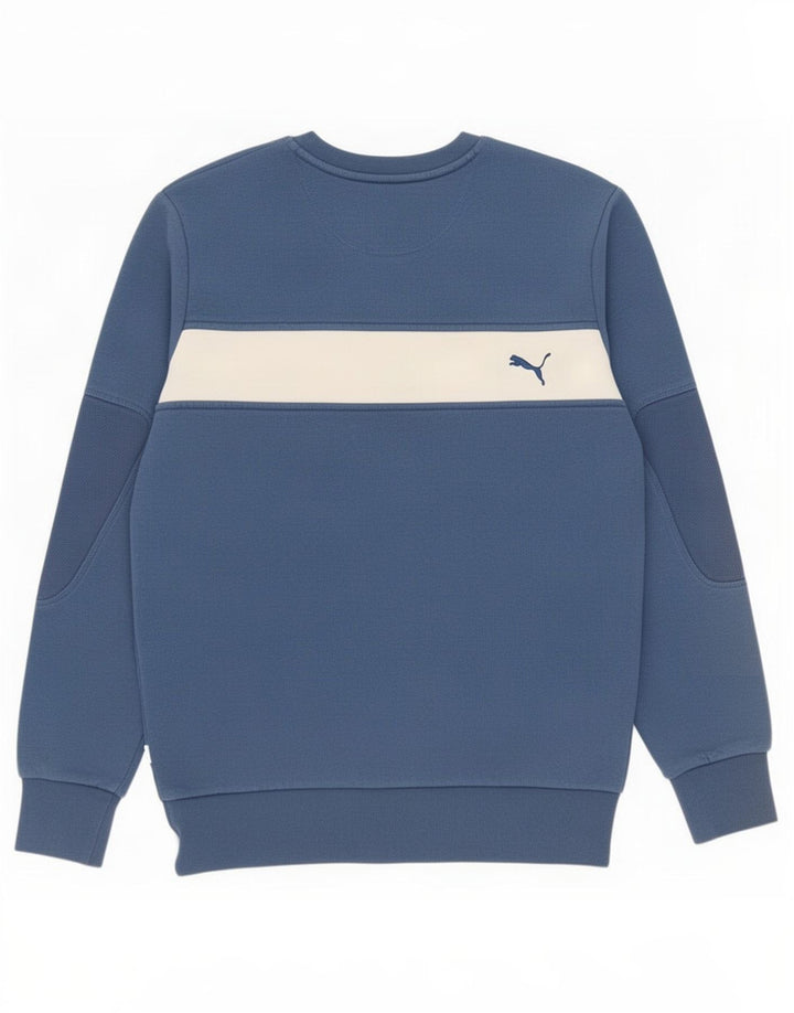 Puma Herre Grafisk Sweatshirt Jumper Small Blue Colourblock